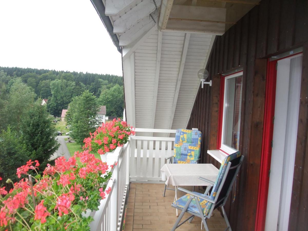 Ferienhaus Hubertus In Elend Mit Balkons Luaran gambar